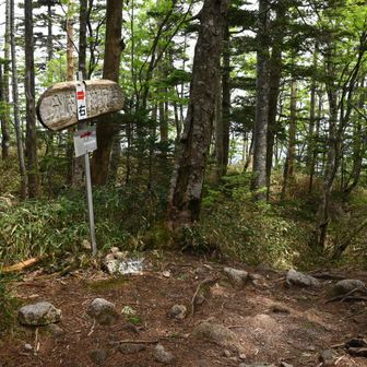神坂峠からの登山道との合流点。山頂まであと少し。