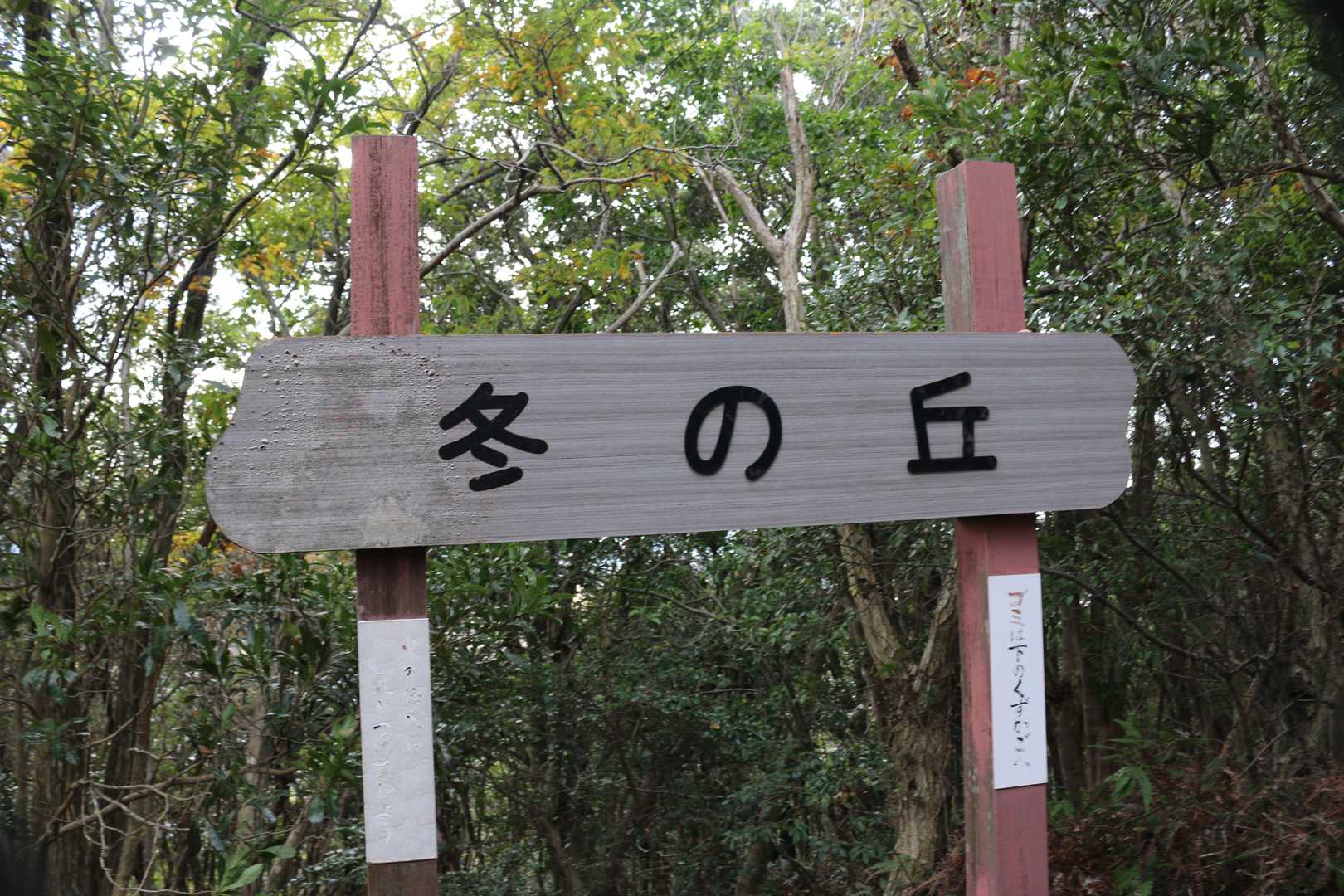 高森山 周回コースの写真