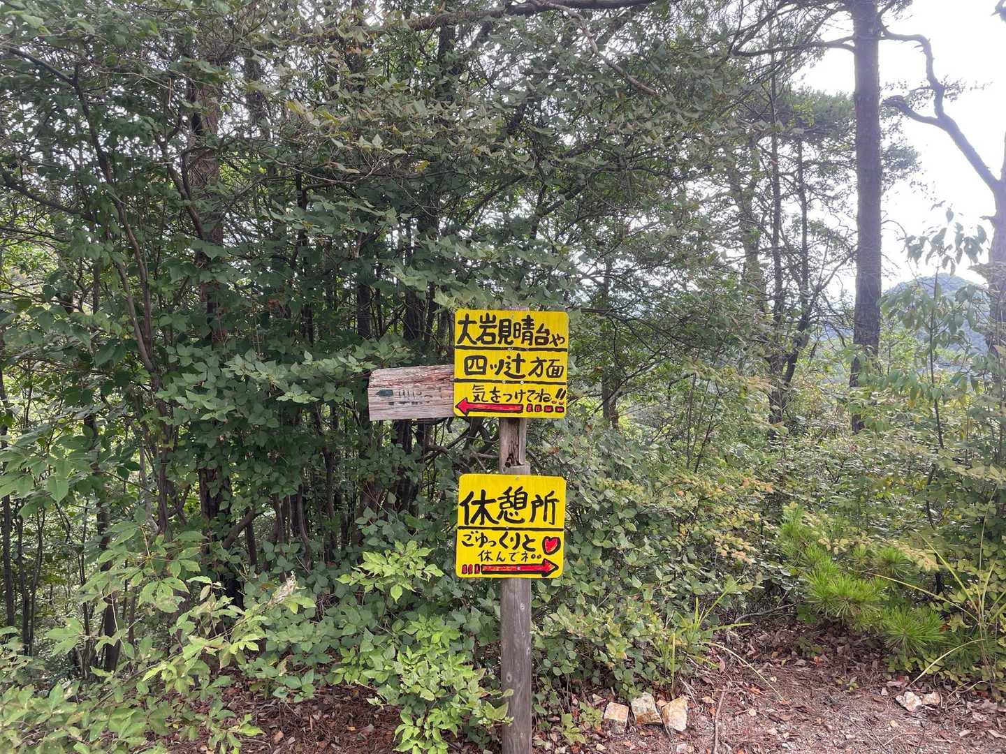 大岩山 往復コースの写真