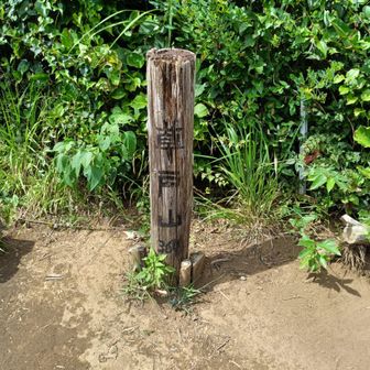 お昼を途中で食べて戻ったので、ほぼ定刻