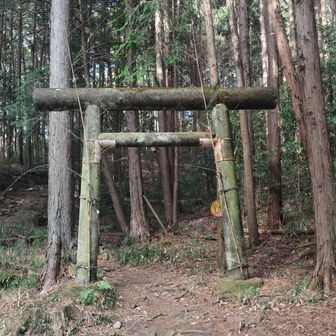 鞍掛山の登山口。木の鳥居がよい感じ