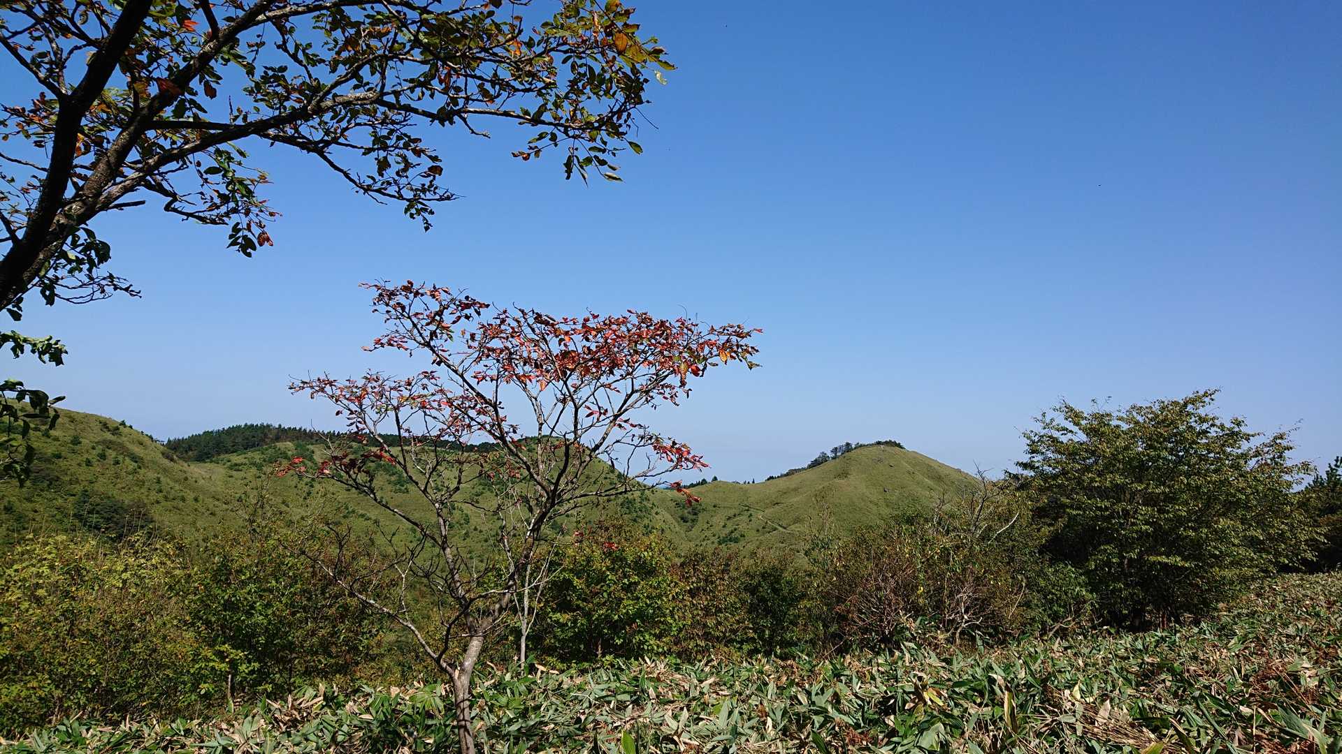 展望台下登山口-雲月峠登山口-岩倉山-雲月山 周回コースの写真