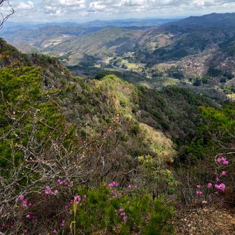 鈴振崖からの景色
山肌に桜🌸(写真ではわからないかなぁ)