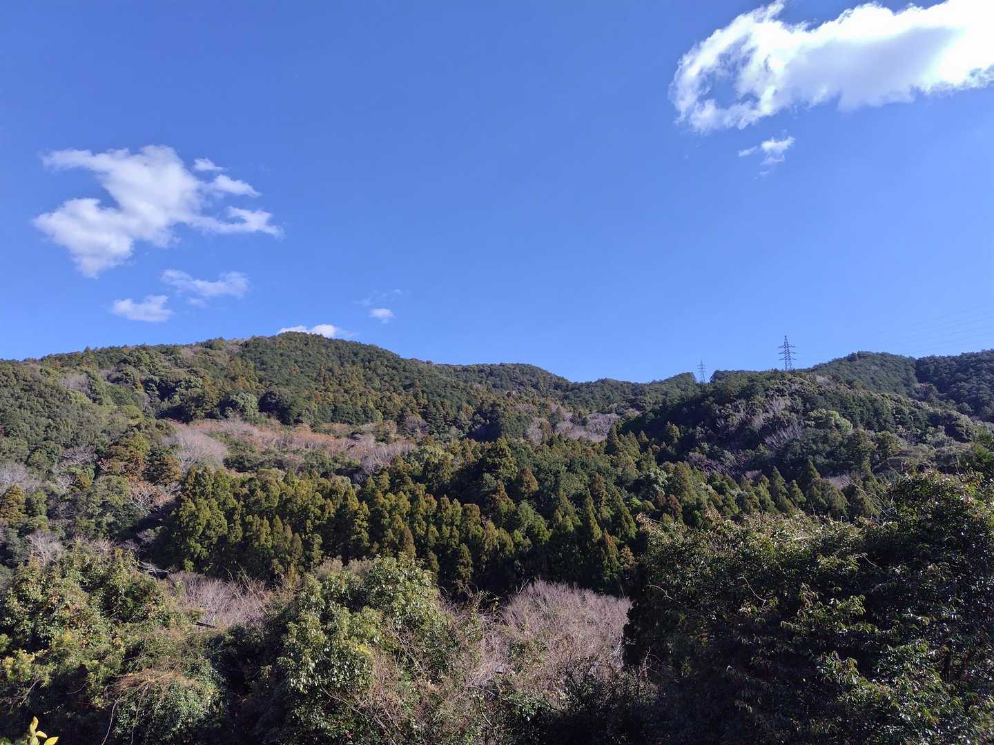 馬山と歩いた稜線