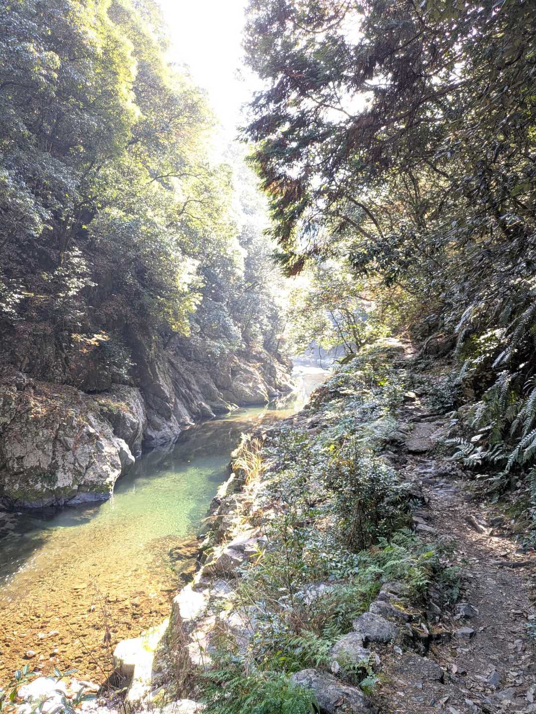栂ノ尾バス停-白雲橋-福ヶ谷林道登山口-槙ノ尾バス停-愛宕 縦走コースの写真