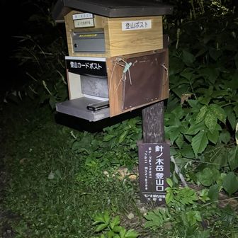 4時、ブラックスタートです。