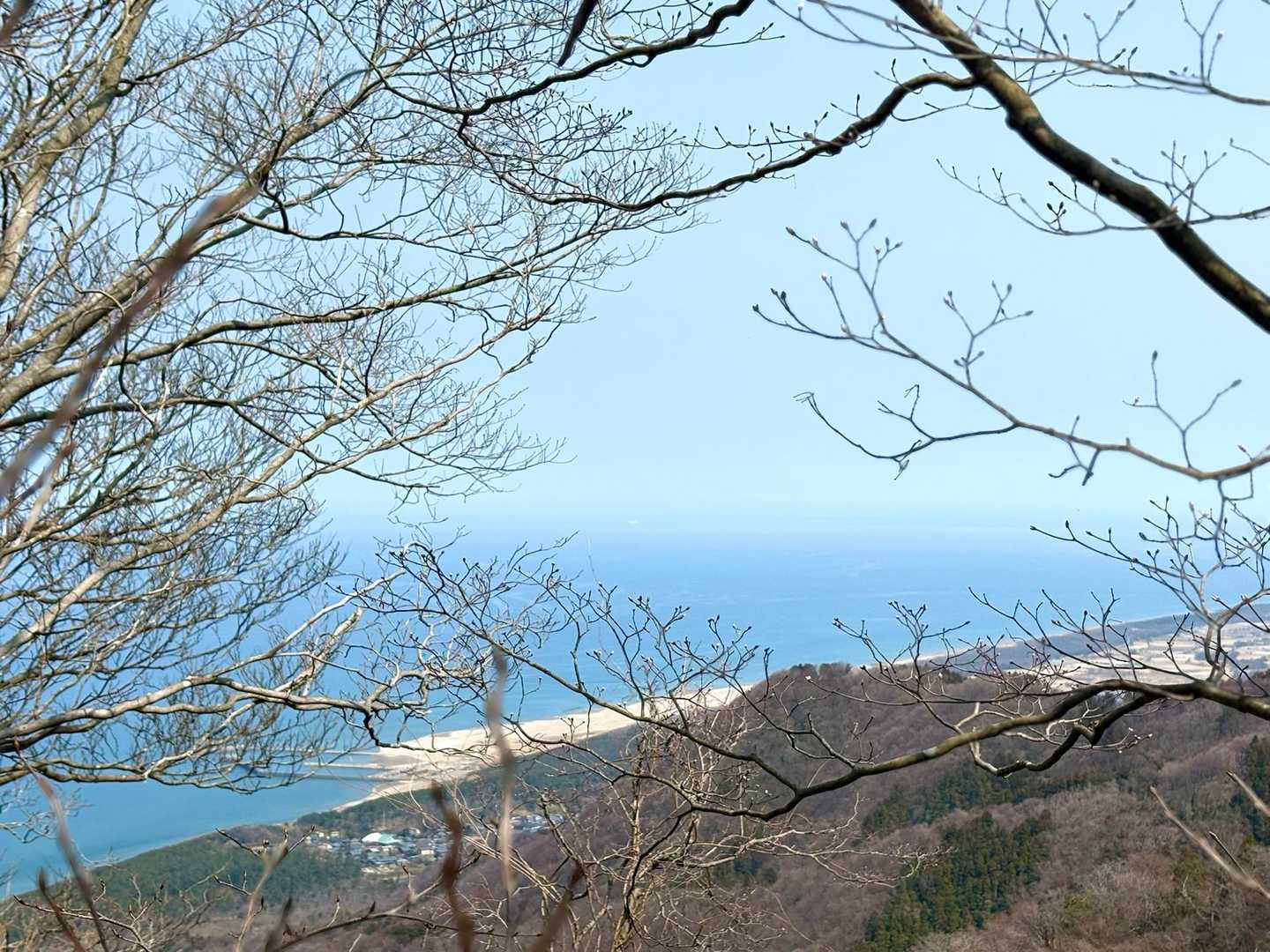 どこまでも広がる
青く透き通った海を眺めながら

歩けるって
うれしい
