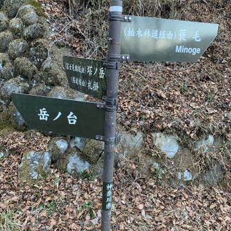 仕方がないので、秦野駅に向かって歩くことにした。