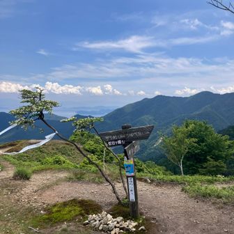 やっと登りきった😭