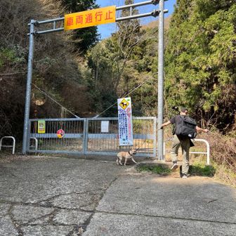 ゲート横から、トンネルまでもう少し