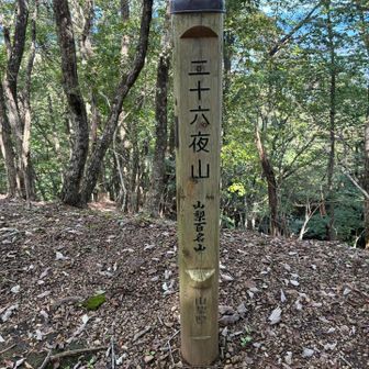山梨百名山2座目！