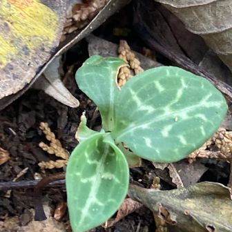 寒いけどガンバレー