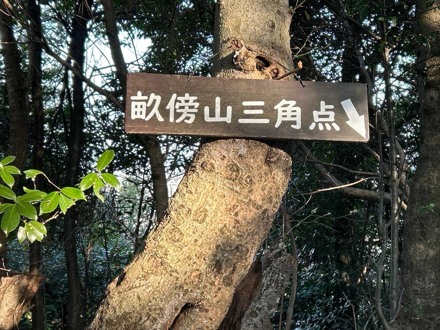 橿原神宮・畝傍山 周回コースの写真