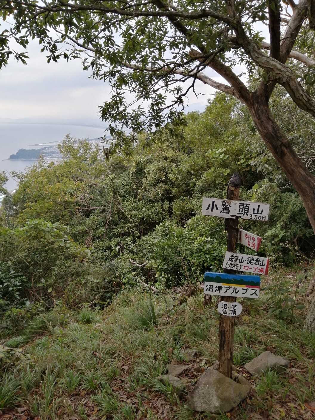 小鷲頭山の写真