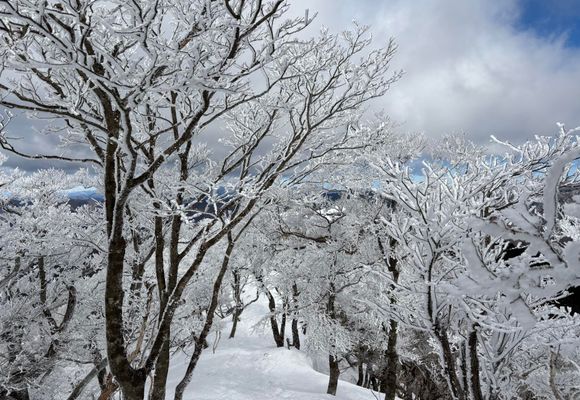 わた山 6726：ANTARCTIC EXPEDITION PARKA– ZANTER