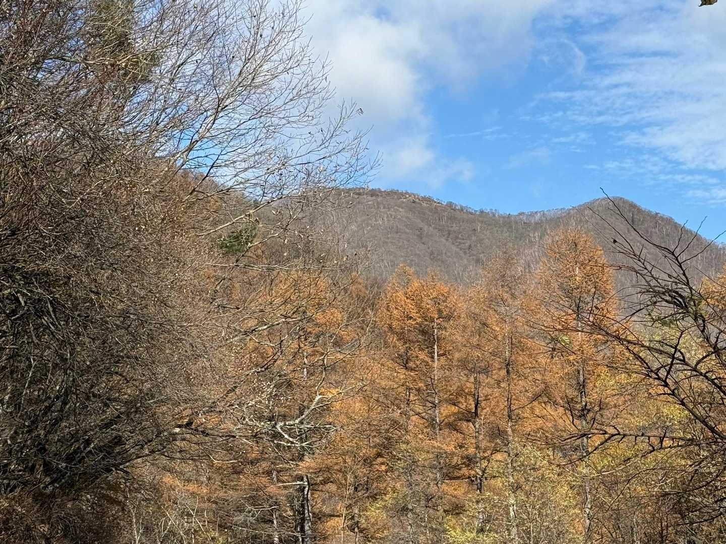 　正面に浅間隠山。

　浅間隠山は二百名山にも選定されており、名前の由来は、東吾妻、中之条町側から見ると浅間山を隠してしまうところから名づけられたとか。
　富士山に似た山容から「川浦富士」、あるいは、山頂部が二峯に分かれているため「矢筈（やはず）山」といった別名もあります。