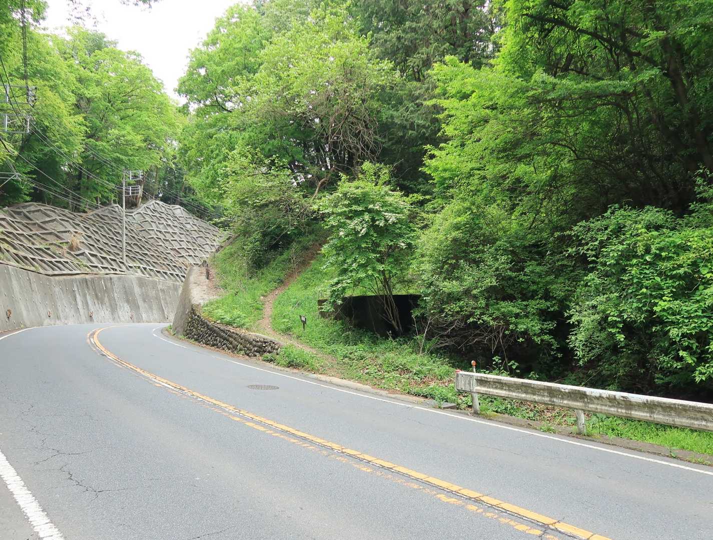 道路を横断！
車に注意⚠️