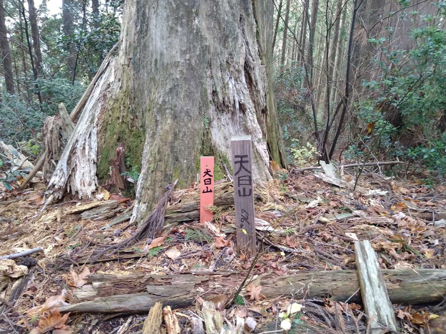 山頂到着