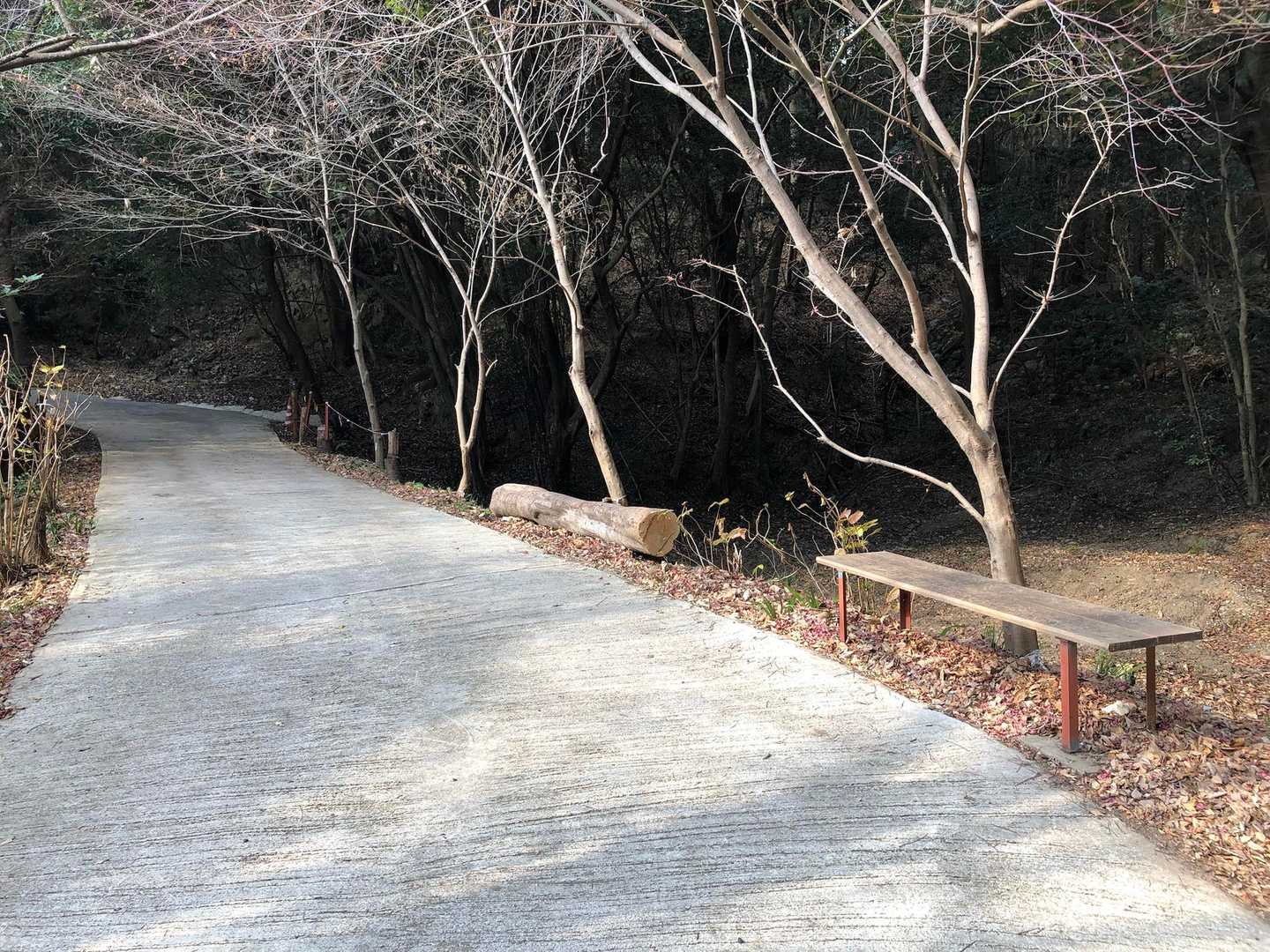 津乃峰山 往復コースの写真