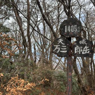 万三郎岳に無事登頂。
眺望はありませんがスペースが少しあるので昼食をとってから下山します。