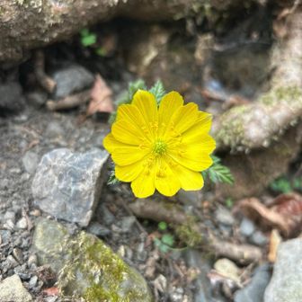 ベル