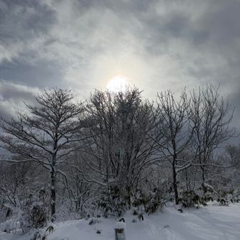 太陽も顔を出す☀️
