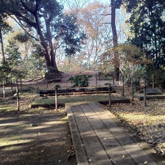 道了堂跡に上がる