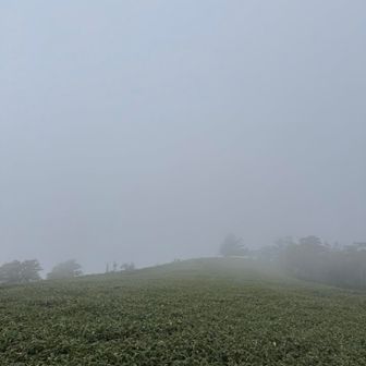 寒い🥶