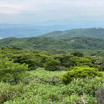 山頂からの視界は今ひとつ ー でも、今日の背振山は本当に鳥たちの楽園で...