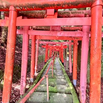 伏見稲荷みたいなところを通っていきます⛩️