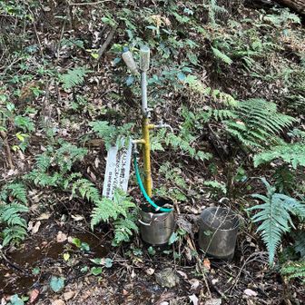 蛇口がありました。水は出なかったけど！
ちなみに｢飲み水として管理していません｣と書いてあります。