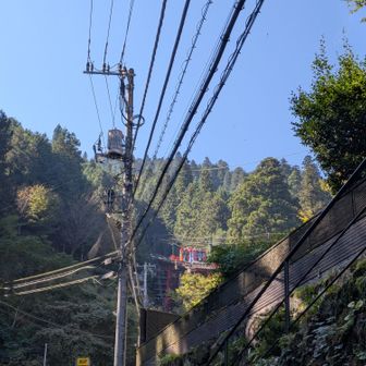 ケーブルカーにも乗らず。