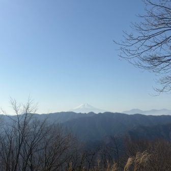 このからの富士山は最高！
