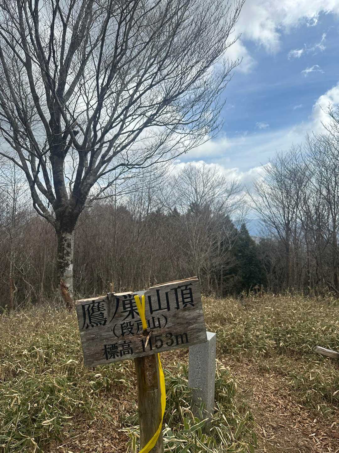 駒ヶ原登山口-鷹ノ巣山 往復コースの写真