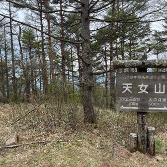 天女山 山頂

ここは車で来られます🚙
