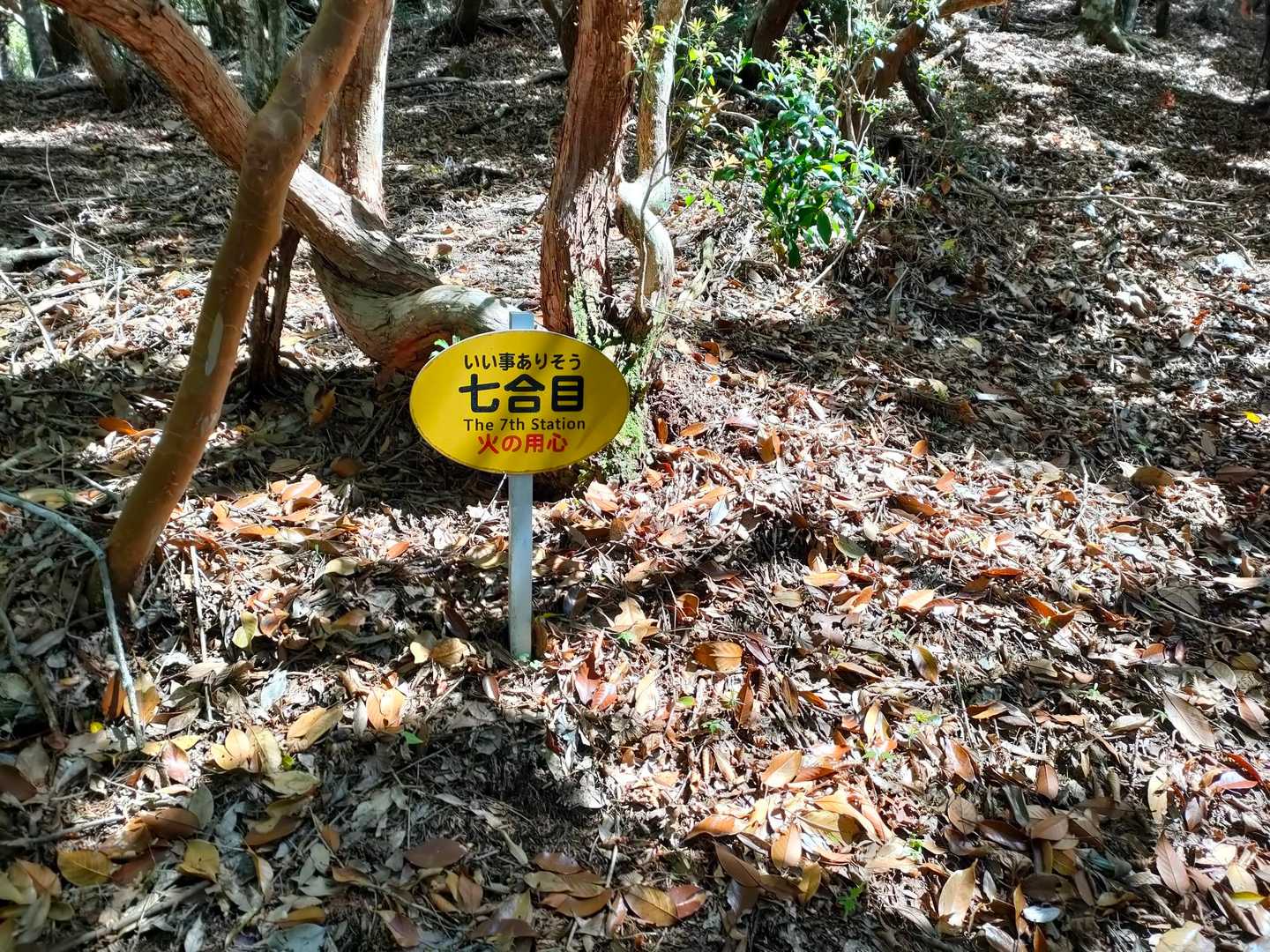 石堂山 往復コースの写真