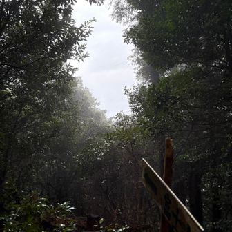 🪧↑富士山　　　　みえるかっ！