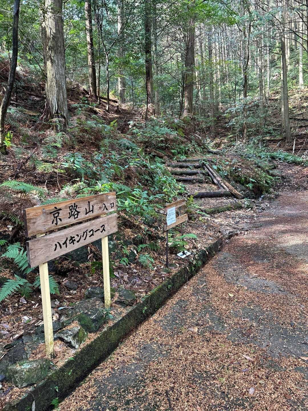 ここから登ります