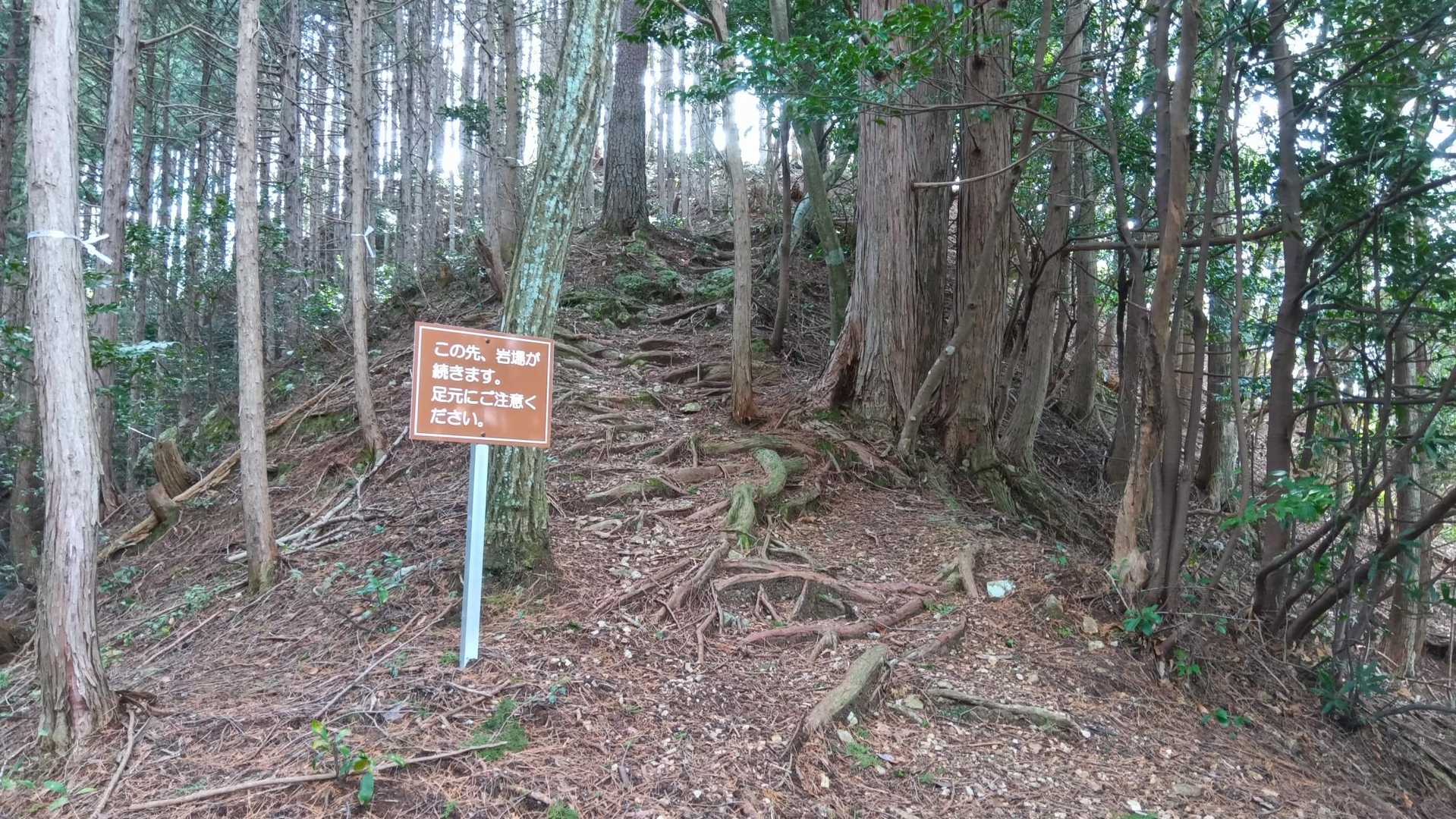 相戸岳 周回コースの写真