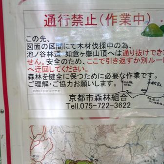 あらま登山届け出したところは通行止めかぁ
仕方ないね。迂回路で行きます。でもこの道は歩いたことがあるから初めての迂回路を楽しもう