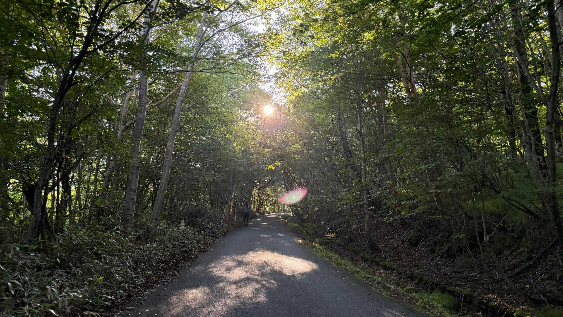 岳駐車場からシャトルバスが出ていて登山口まで行けるようですが、2km30分登山口まで歩きます。

そしてこの微妙な登りが、徐々に脚力削られる…