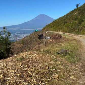 国道138を渡って乙女峠に向かう途中
ここも富士山がキレイに見えた