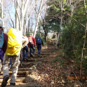 更に進んでもう少しで権現山山頂