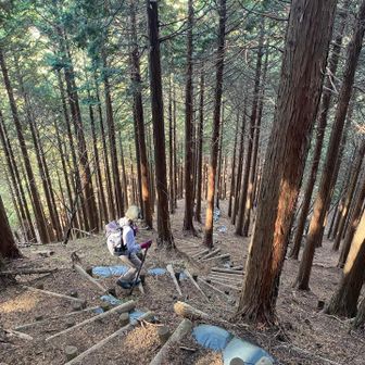 ここからは激下りだった💦