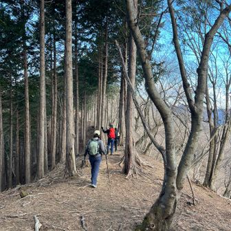 次のエンナミノ頭までは比較的緩やかな区間です。