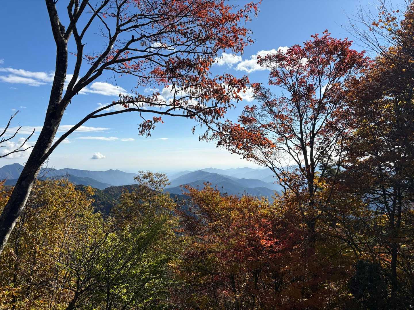 都民の森-鞘口峠-三頭山-ムシカリ峠-三頭大滝 周回コースの写真