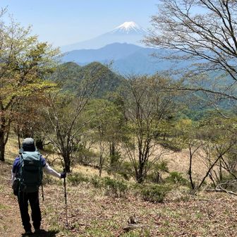 この山頂でお昼を食べながら地図を見て相談。