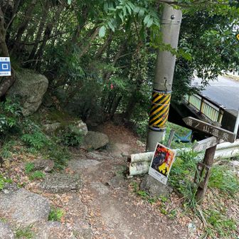 林道に出た後、再び登山道へ