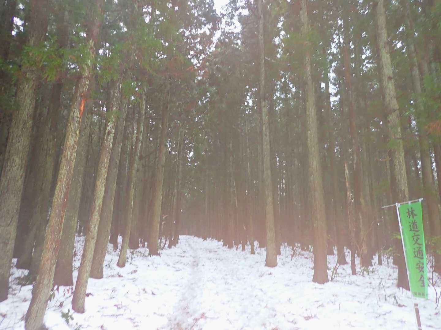 楽しいスノーハイク♪

2人の山友に···感謝♪