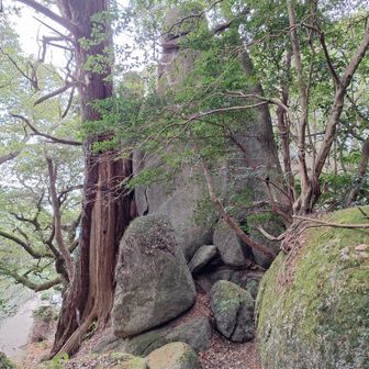 金立神社上宮の手前まで降りてくると、「湧出御宝石(ゆうしゅつおたからせき)」と呼ばれる巨石があった✨
上宮の裏にあるパワースポット😄